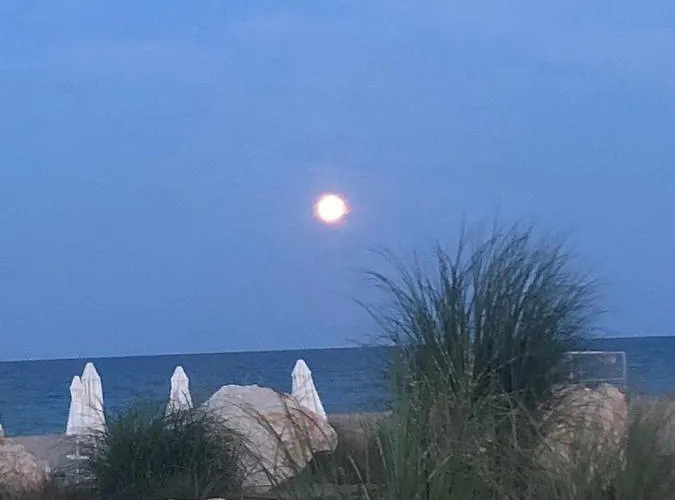 Beachfront Apartment